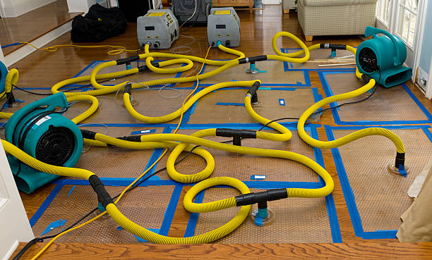 Professional Burst Pipe Water Damage technician working in Westland, MI
